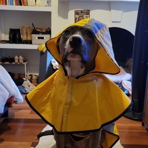 Meet your Posher, Riley